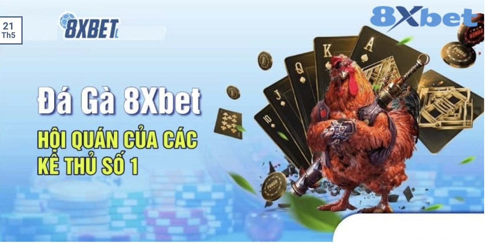 8xBet - Trang cá cược nhà cái đá gà ăn tiền có tỷ lệ thưởng cao