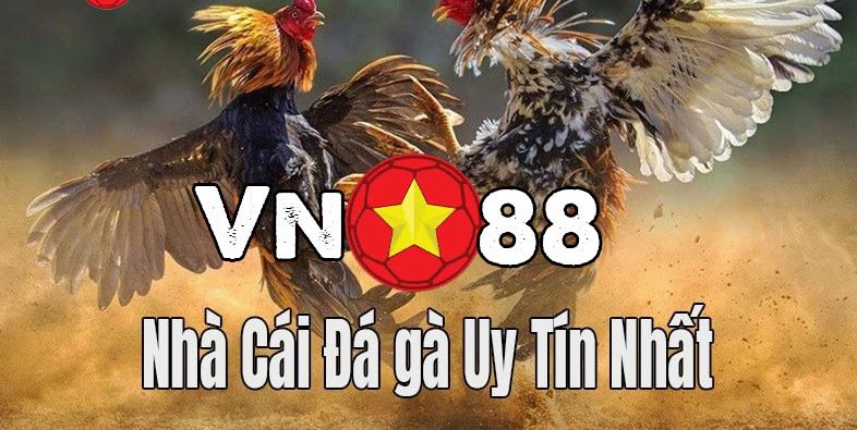 VN88 - Trang đá gà uy tín số 1 tại Việt Nam