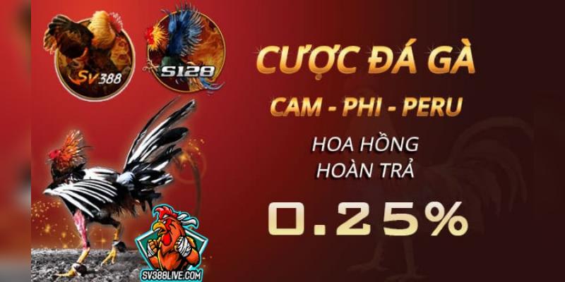Trả thưởng cao, đa dạng các chương trình ưu đãi