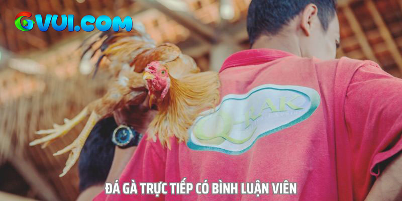 Các trận đấu tại đây còn có nhiều bình luận viên chuyên nghiệp