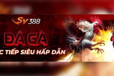 SV388 – Cá cược hay, nhận thưởng lớn